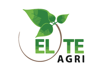 Elite Agri est une entreprise specialisee dans l'agriculture, se concentrant principalement sur la production de legumes et de fruits frais